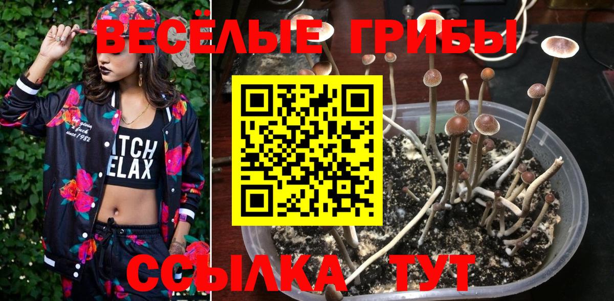Качканар  Галлюциногенные грибы прущие грибы  Вход с VPN 
